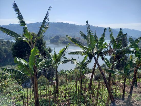 Dabei genießen wir wunderschöne Aussichten über die Seenlandschaft.