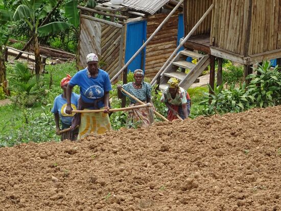 Auf den Feldern wird hart gearbeitet.