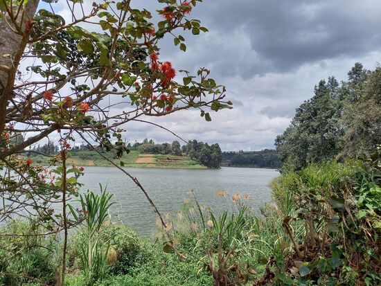 Noch ein letzter Blick auf den Bunyonyi Lake