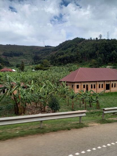 Wir fahren entlang riesiger Bananen Plantagen.