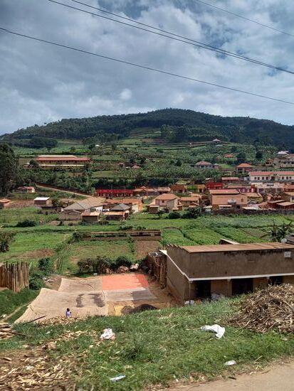 Die Fahrt führt durch hügelige Landschaft in der neben Landwirtschaft auch Forstwirtschaft betrieben wird. Überall sind Plantagen mit Eukalyptus Bäumen zu sehen.