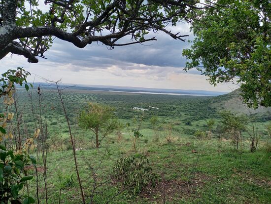 In der Ferne ist der Lake Mburo zu sehen.