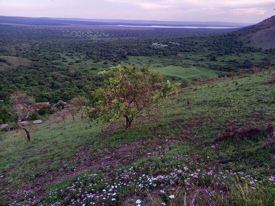 Den See und den Park aus einer anderen Perspektive  