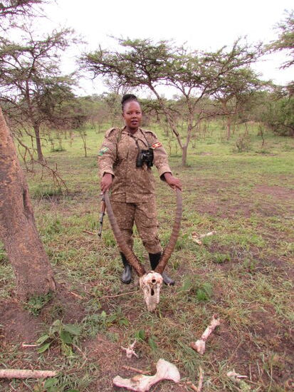 Während wir so zu Fuß durch das Buschland streifen, sehen wir auch Überreste von Tieren.