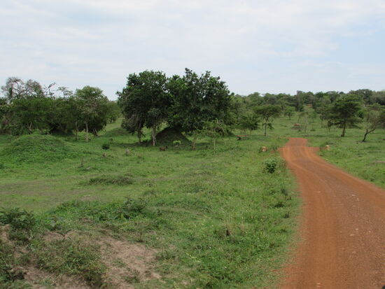 Auf der roten Erde Afrikas unterwegs.