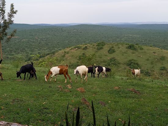 Wieder in der Lodge genießen wir noch die Aussicht über den Park, einfach nur schön!