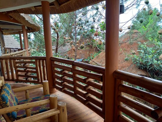 Vom Balkon können wir die Webervögel aus nächster Nähe beobachten.