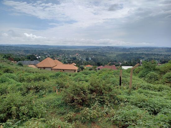 Blick über den Stadtrand