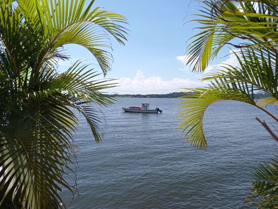 Blick auf den Viktoria See