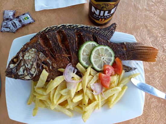 Lecker Talapia  