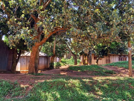 Wir sehen auch in Entebbe viele einfache Wohnhäuser.