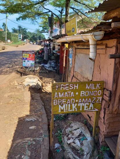 Es gibt gefühlt alles zu kaufen,  man muss nur herausfinden wo  