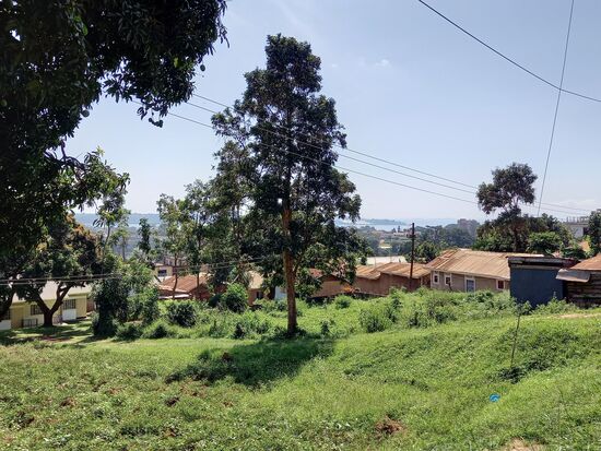In der Ferne sehen wir schon den Viktoria See an dessen Ufer auch der Botanische Garten liegt.