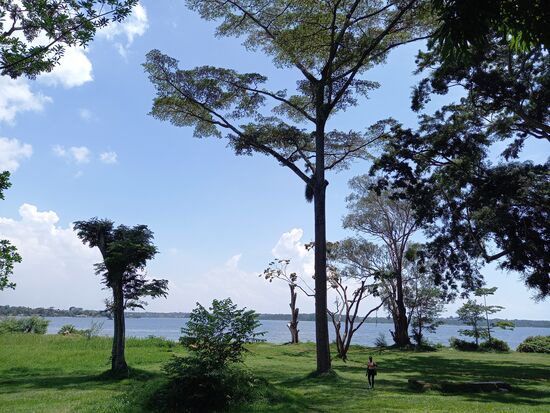 Blick vom Park auf den See.