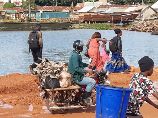 Da haben wir nicht schlecht gestaunt,  erst lautes Quicken und dann entdecken wir den Schweinetransport.