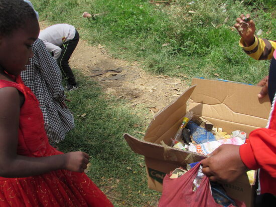 Ein Stück Müll nach dem anderen landet im Karton.