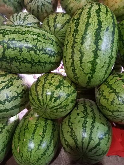 Melonen stehen auch auf seiner Einkaufsliste.