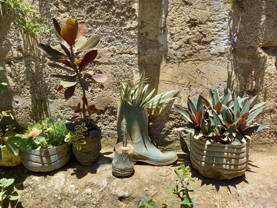 Die Mutter und ich teilen uns ein Hobby - die Gärtnerei