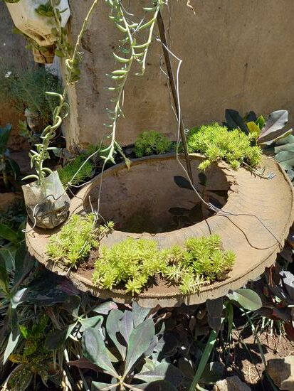 Ich bin total begeistert,  wie hier mit einfachen Mitteln etwas Schönes gestaltet wird.