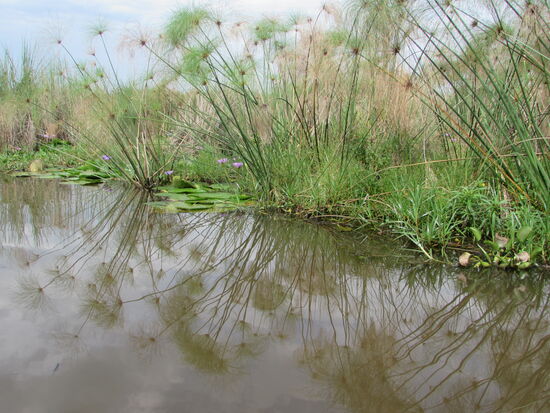 Die Spiegelungen faszinieren mich.