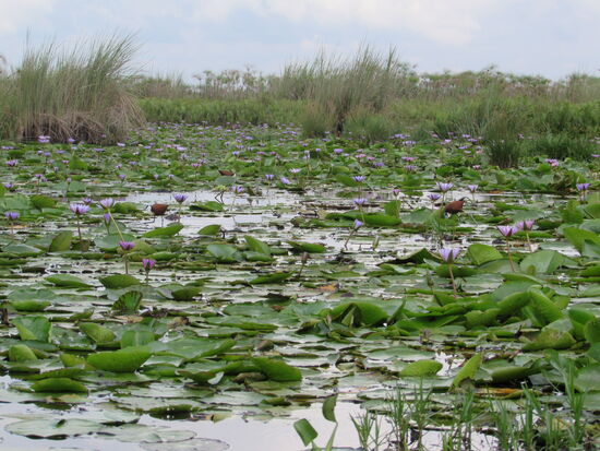 Beeindruckend schön!