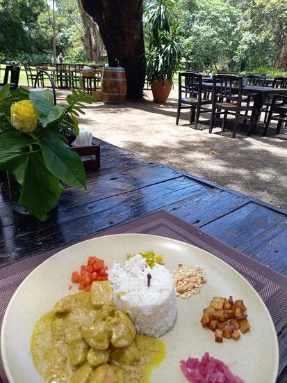 Leckeres Essen und WLAN gibt es auch  