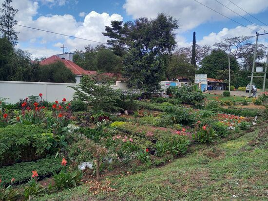 Danach gehe ich zum Tanz Hands. Das ist ein von Deutschen gegründetes Rehabilitation Zentrum indem auch ein Kaffee integriert ist.