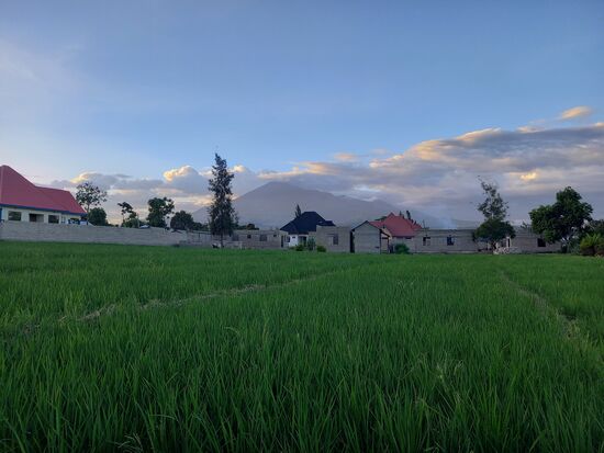 Es dämmert schon als wir zu Aisha gehen. Sie wohnt etwas außerhalb ...
Auf dem Feld wird Reis angebaut.