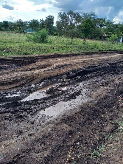 Doch angesichts dieser Bedingungen ist die Verspätung verziehen. Er muss einige Umwege fahren um mich ans Ziel zu bringen.