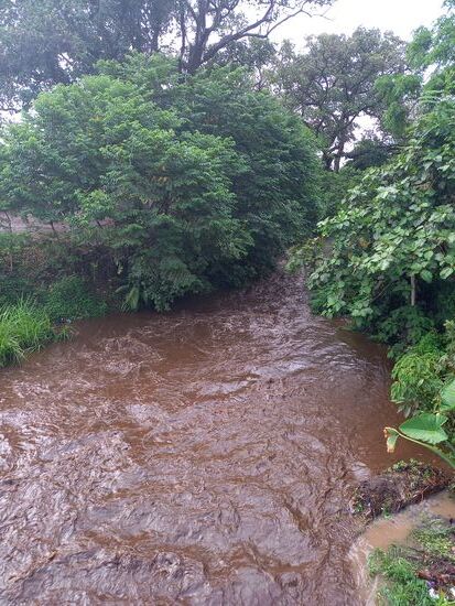 Die vorerst kleinen Bachläufe werden zu reißenden Flüsse.