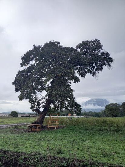 Der Marktstand ist heute verlassen.