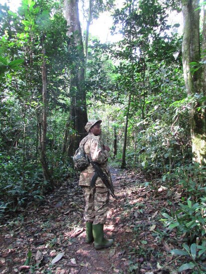 Wir folgen Florence auf Schritt und Tritt.