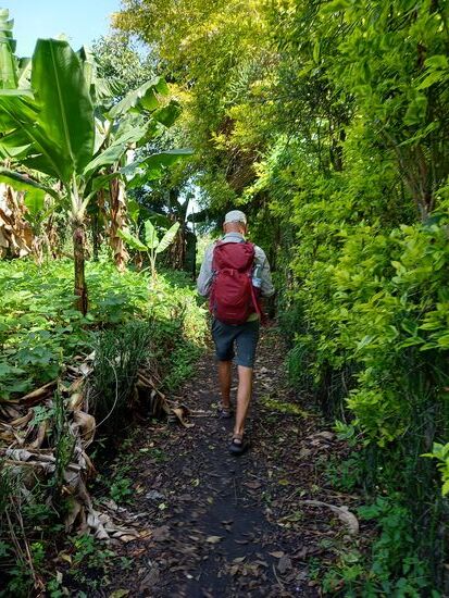 Wir wollen noch zu einem Restaurant mit dem Namen "Top of the World" und nehmen eine Abkürzung entlang von Feldern und Farmen.