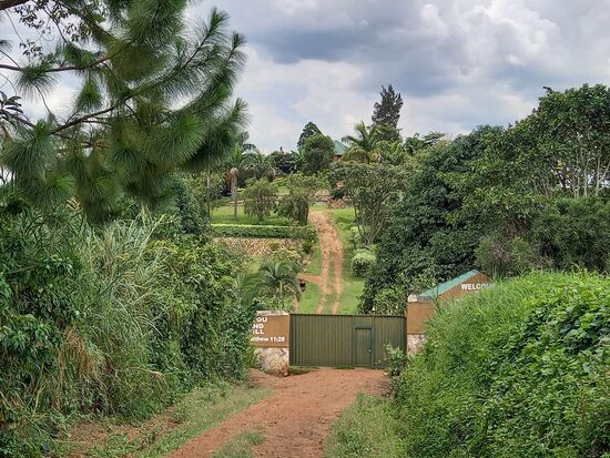 Wir sind am Ziel. Die Lodge hat keinen einzigen Gast. Aber man freut sich das wir etwas essen möchten.