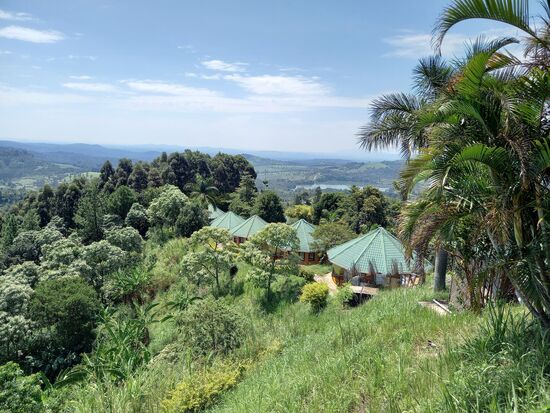 Die Bungalows dieser Lodge.