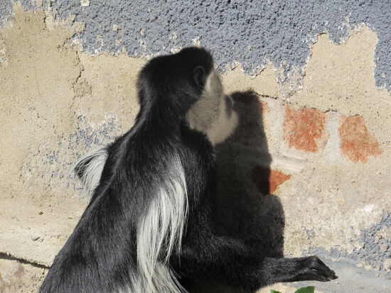 Dabei lassen sie sich auch so gar nicht stören.