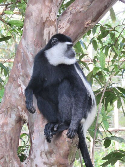 Ganz schön lange Finger ...