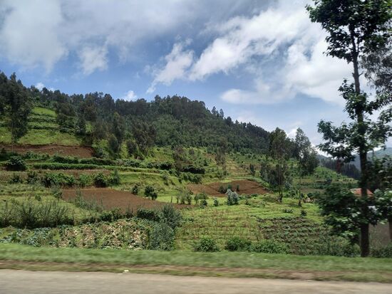 Die Landschaft ist saftig grün und vielerorts wird Landwirtschaft betrieben. Es wird alles von Hand bearbeitet. Die Menschen erscheinen uns als sehr fleißig.