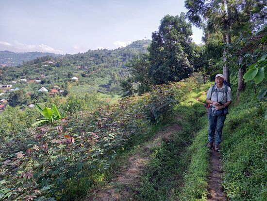 Meist führt der Weg auf schmalen Pfaden im Halbschatten entlang.