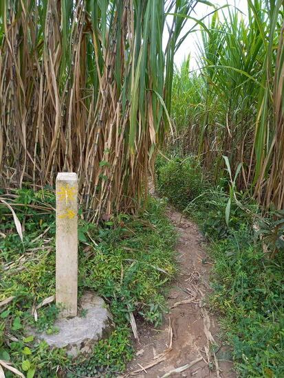 Wir sind noch auf dem richtigen Weg  