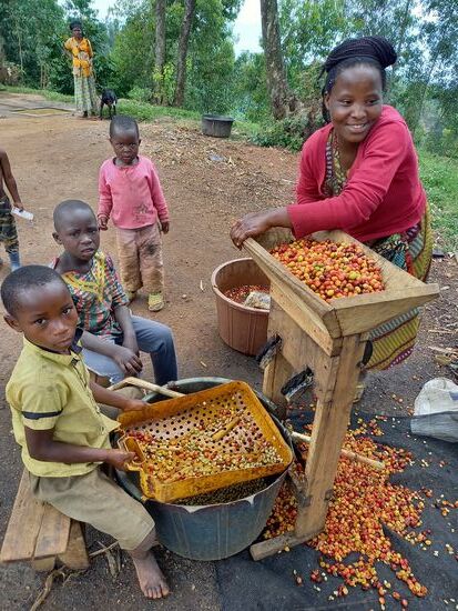 Hier werden die Kaffeekirschen verarbeitet d.h das Fleisch wird vom Kern d.h der Kaffeebohne getrennt.