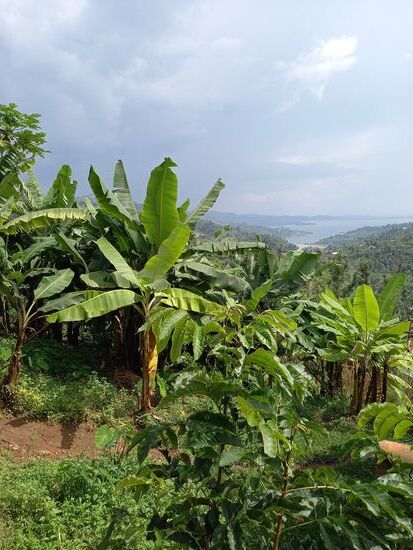 Die Höhe von 1600m bietet schöne Aussichten und das entschädigt für die Anstrengung.