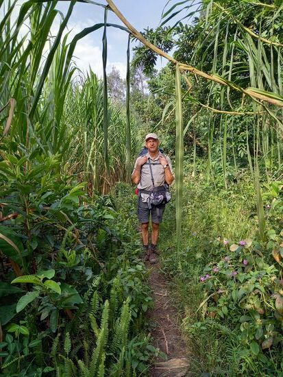 Es geht immer wieder durch das hohe Schilff am Ufer.