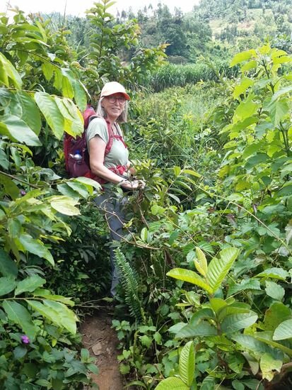 Manchmal ist der Weg kaum zu erkennen.