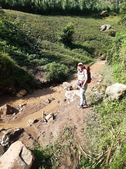 Immer wieder Herausforderungen im Gelände.