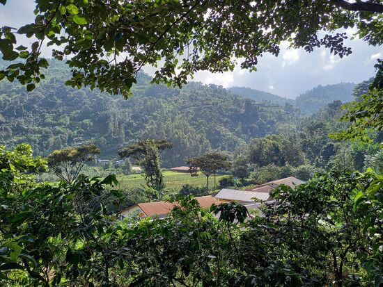 Blick auf die Kaffee Reinigungsanlage - wir gehen stetig bergauf.