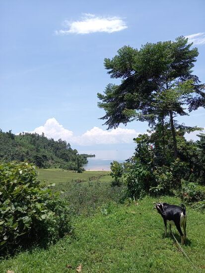 Wenig später sind wir auch schon wieder bergauf unterwegs. Der Weg zieht sich gefühlt in die Länge.