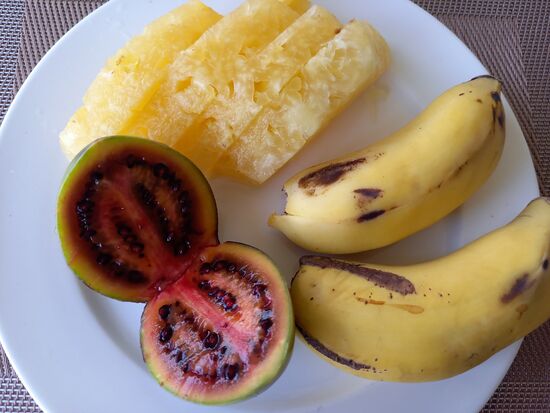 Zum Frühstück gibt es lecker Obst, Pancake und Brötchen mit Marmelade, dazu Kaffee und Melonensaft. Auch das Omeltte ist sehr zu empfehlen.