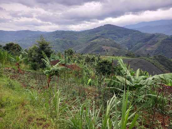 Der Blick über die hügelige Landschaft zieht uns immer wieder in den Bann.