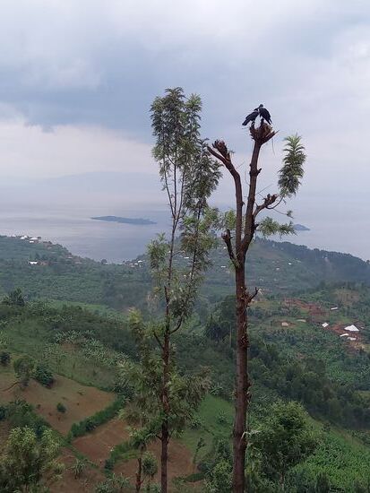 Dann ist wieder der Kivu See zu sehen.